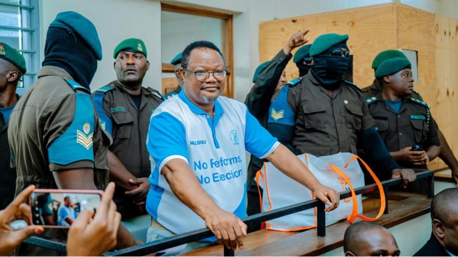 lissu-picc